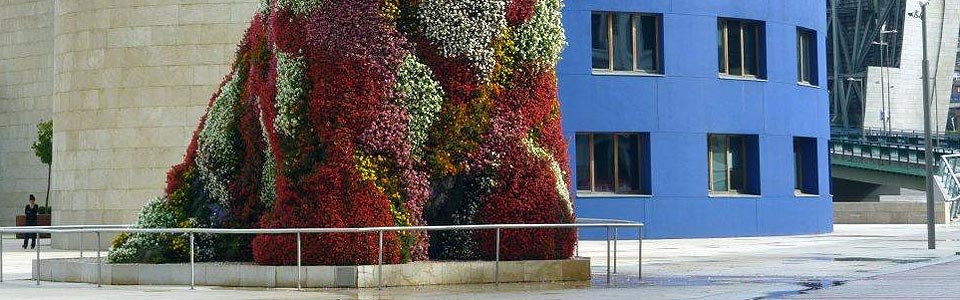 <p>Header-Slideshow</p>
