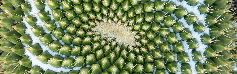 <p>Header-Slideshow</p>